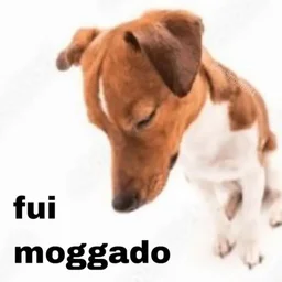 Robson